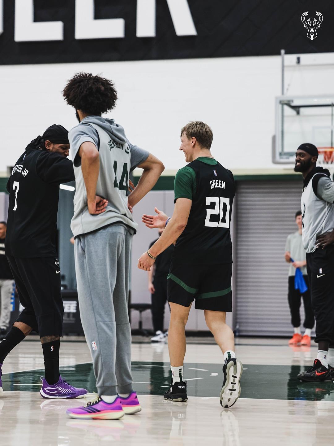 AA, 今年的小鸟, img