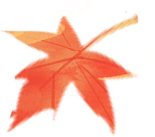 喜时咖啡杯, VrXBx, HNcgm 喜时咖啡杯, VrXBx, HNcgm